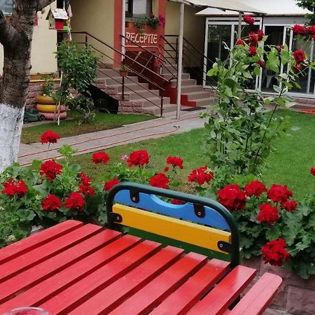 Copou Inn Ясси Екстер'єр фото