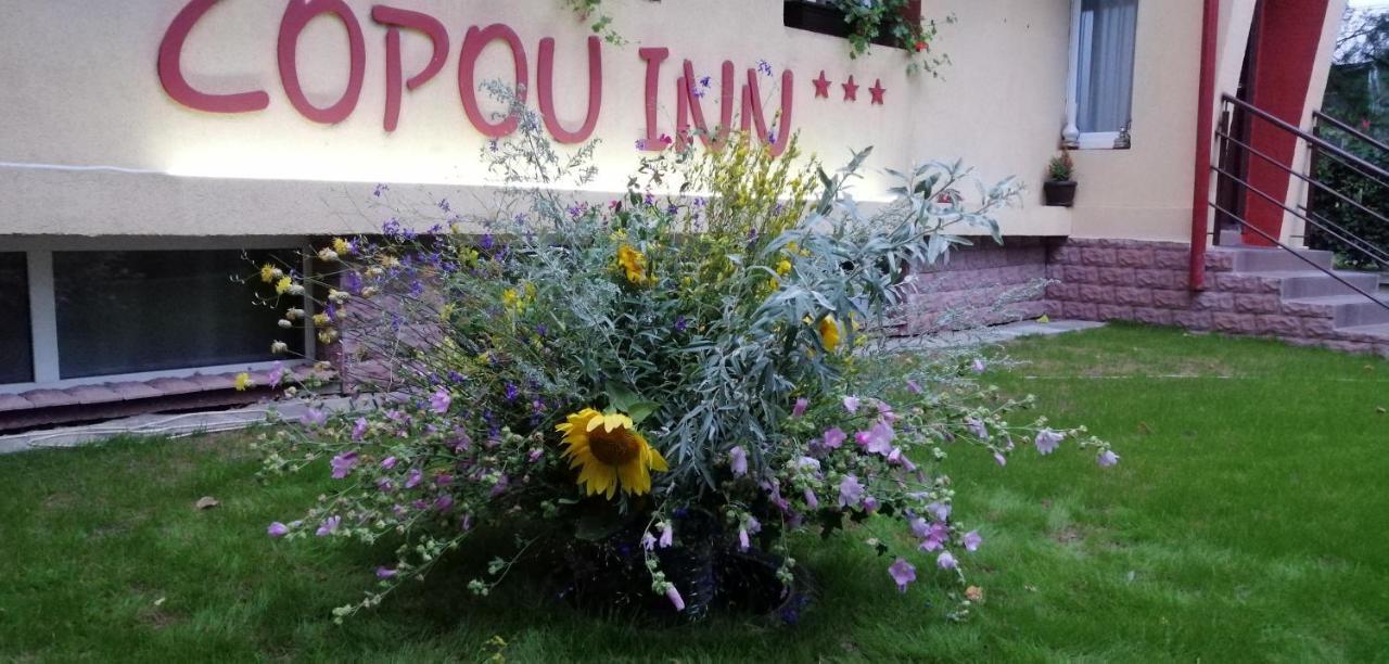 Copou Inn Ясси Екстер'єр фото