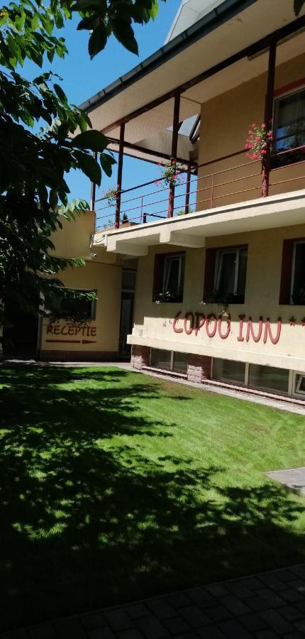 Copou Inn Ясси Екстер'єр фото